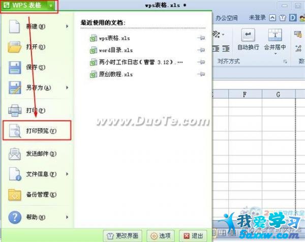 wps表格打印預(yù)覽及設(shè)置