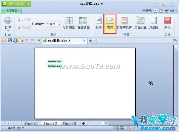 wps表格打印預(yù)覽及設(shè)置