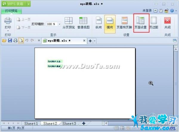 wps表格打印預(yù)覽及設(shè)置