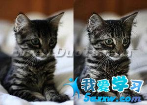Photoshop