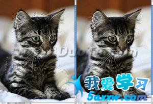 Photoshop
